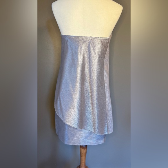 HALSTON HERITAGE Strapless Tiered Embelished Mini Tube Silver Dress Size 4 - Picture 4 of 10